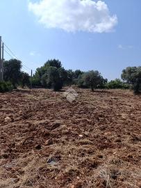 TER. AGRICOLO A CEGLIE MESSAPICA