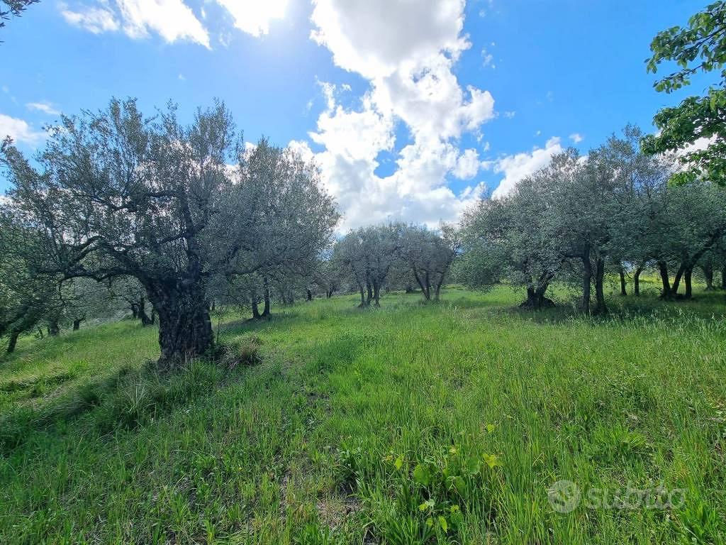 Terreno di 21090 m² a Montespertoli - Vista 4