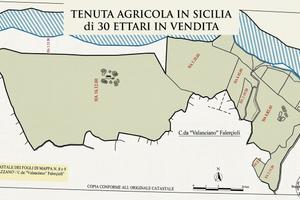 Tenuta agricola in Sicilia