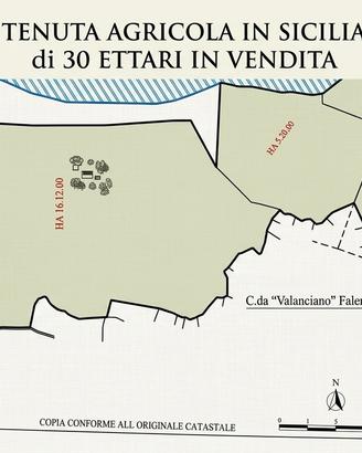 Tenuta agricola in Sicilia