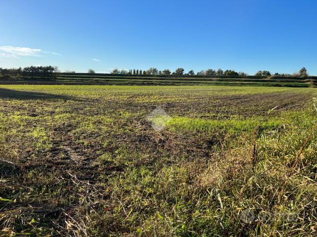 TER. AGRICOLO A ROVIGO