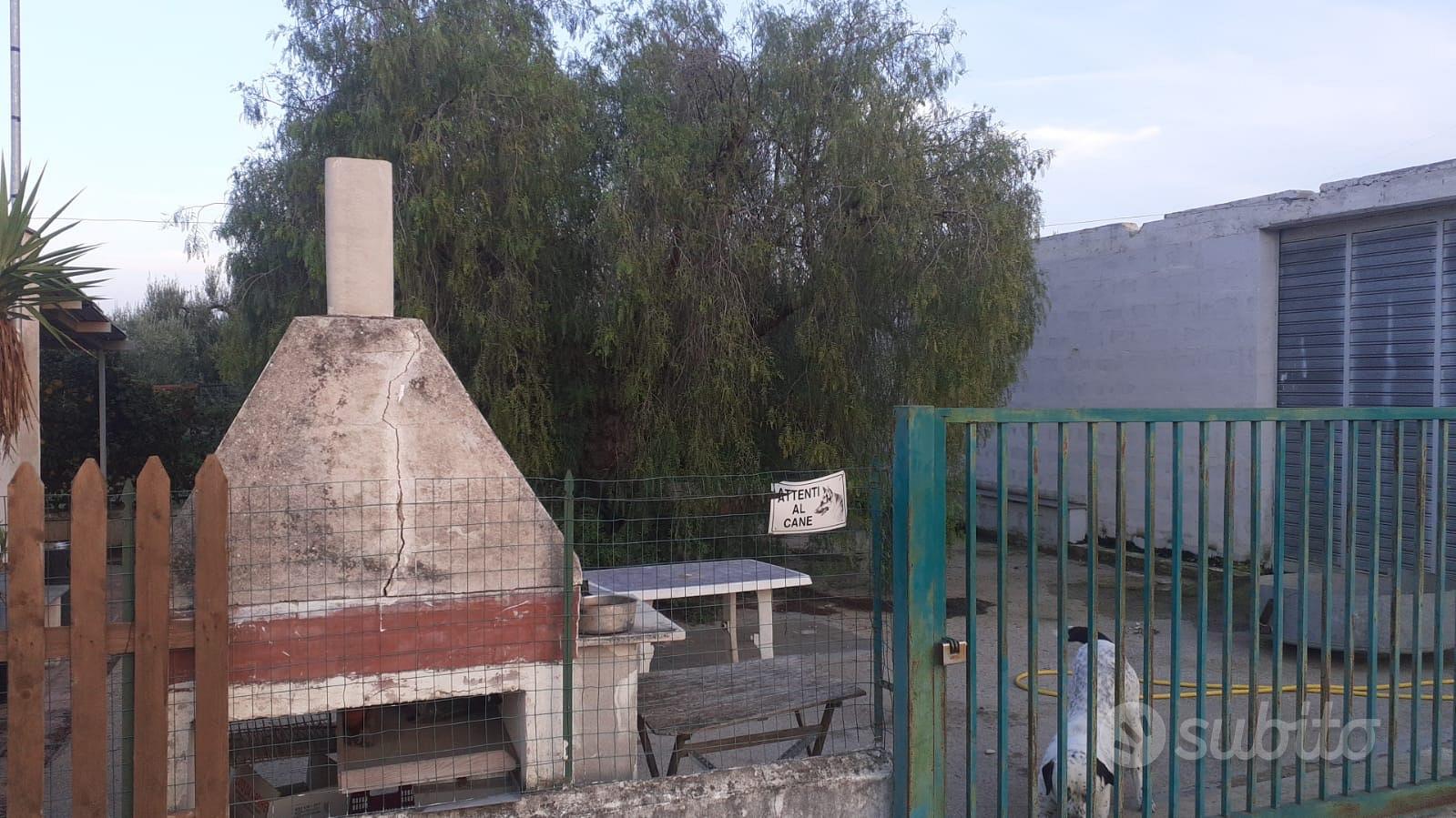 Casa – Barletta, Centro - Vista 5