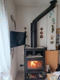 Stufa ventilata a legna Edilkamin 