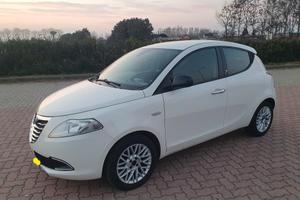 Lancia Ypsilon 1.3 m jet 5 porte