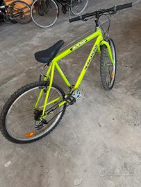Bicicletta