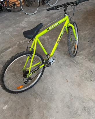 Bicicletta