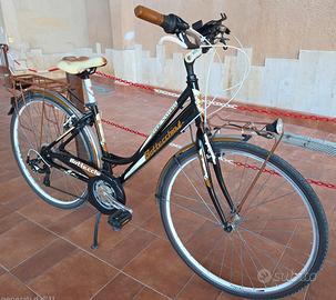 Bicicletta da passeggio