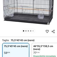 Coppia Produttivi Allevato A Mano 3 Gabbia Inclusa