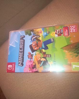 Minecraft Nintendo switch 