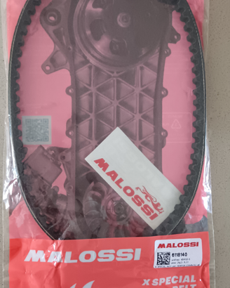 Cinghia dentata malossi standard