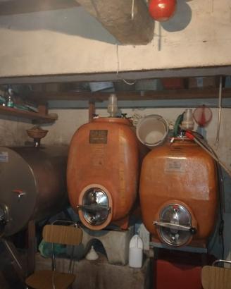 vino bianco per  utilizzo o per fare   aceto NT