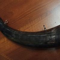 Corno da caccia Francese