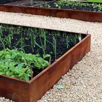 Bordura per giardino in acciaio corten