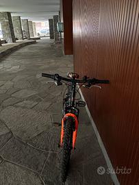 Bicicletta Carnielli 20