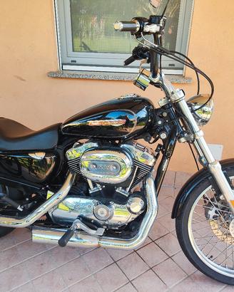 Sportster 1200 XL custom