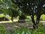 Immagine 25