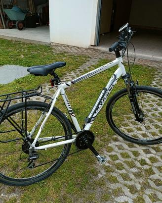 citybike Olympia elettrificata