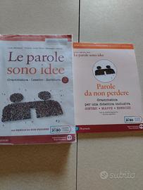 Le parole sono idee