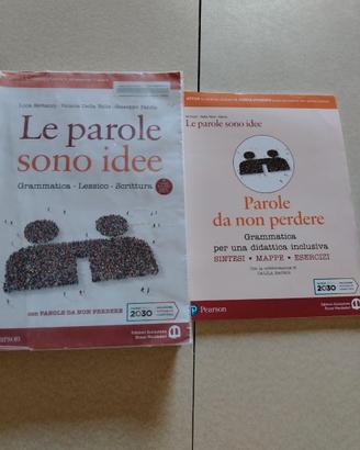 Le parole sono idee