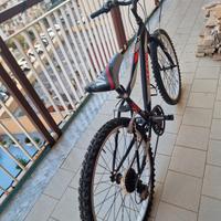 Mountain bike Vortex,