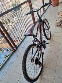 Mountain bike Vortex,