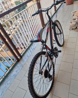 Mountain bike Vortex,