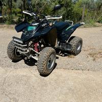 Quad ADLY 300