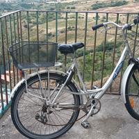 Bicicletta passeggio 
