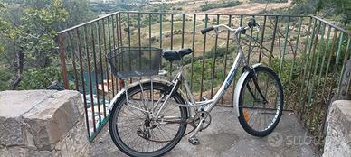 Bicicletta passeggio 