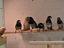 Immagine 4