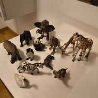 Collezione animali
