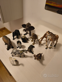 Collezione animali
