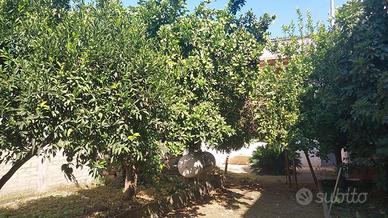 Casa Indipendente con Locale Commerciale