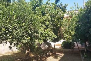 Casa Indipendente con Locale Commerciale