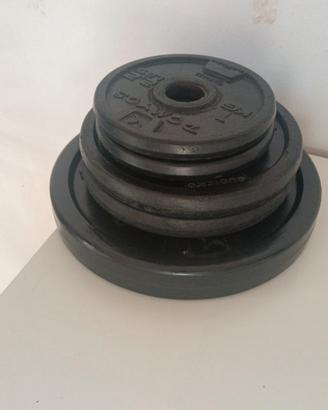 Dischi ghisa domyos Decathlon 