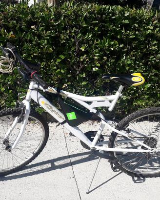 Mountain bike adulto