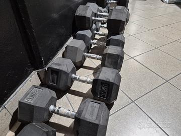 Dumbell da 25 e 30 chili Xenios 