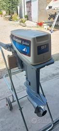 Motore fuoribordo 9.9 Evinrude