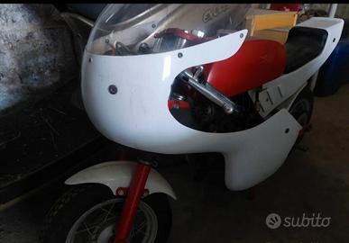 cimatti mini prix