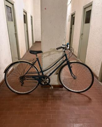 Bici Shimano