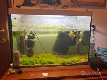 acquario 80lt