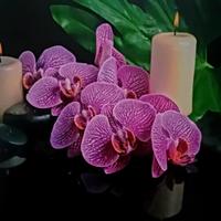 Quadro Fotografico Retroilluminato