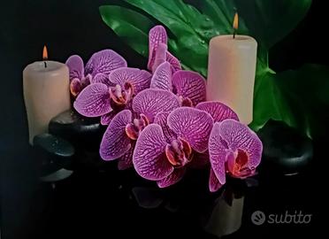 Quadro Fotografico Retroilluminato