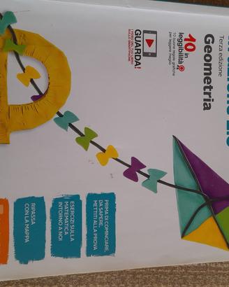matematica in azione 2 e 3