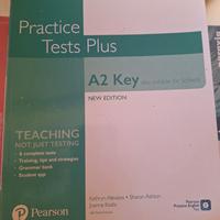 practice test plus 9781292271453