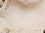 Immagine 13