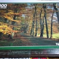 2000 Puzzle Nathan box integro