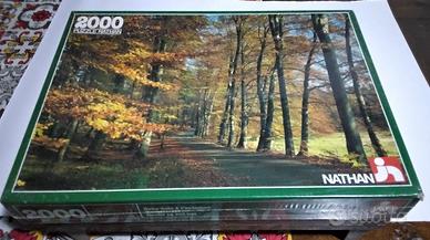 2000 Puzzle Nathan box integro