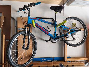 Bici da bambino/ragazzo