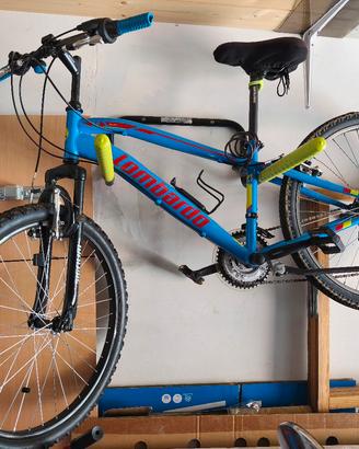 Bici da bambino/ragazzo
